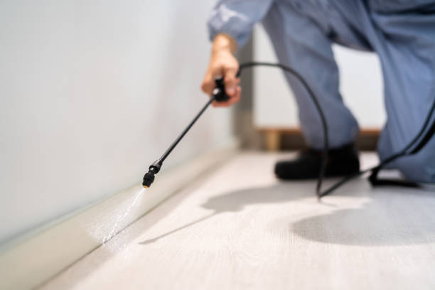 Licensed Mosquito Control service in Peabody, MA - Show Me Pest Control