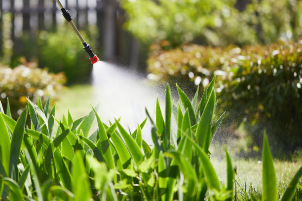 24/7 Emergency Mosquito Control experts in Peabody, MA