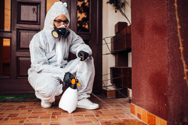 Reliable Mosquito Control contractor in Peabody, MA by Show Me Pest Control