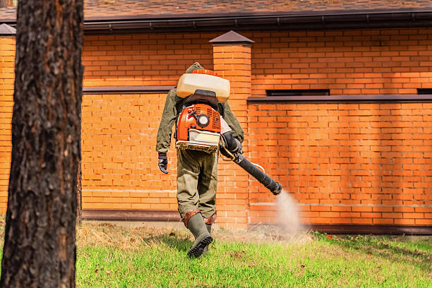 Top rated local Mosquito Control specialists in Peabody, MA